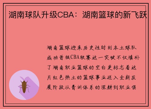 湖南球队升级CBA：湖南篮球的新飞跃