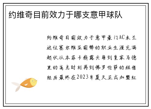 约维奇目前效力于哪支意甲球队